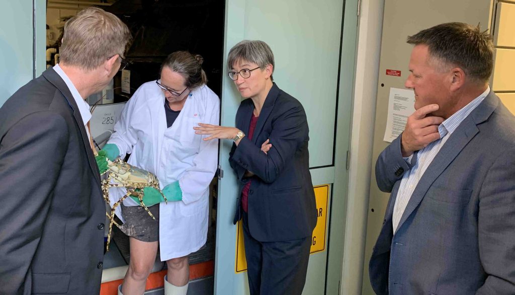 https://ornatas.com.au/wp-content/uploads/martin-rees-ornatas-with-penny-wong-march-2019.jpg